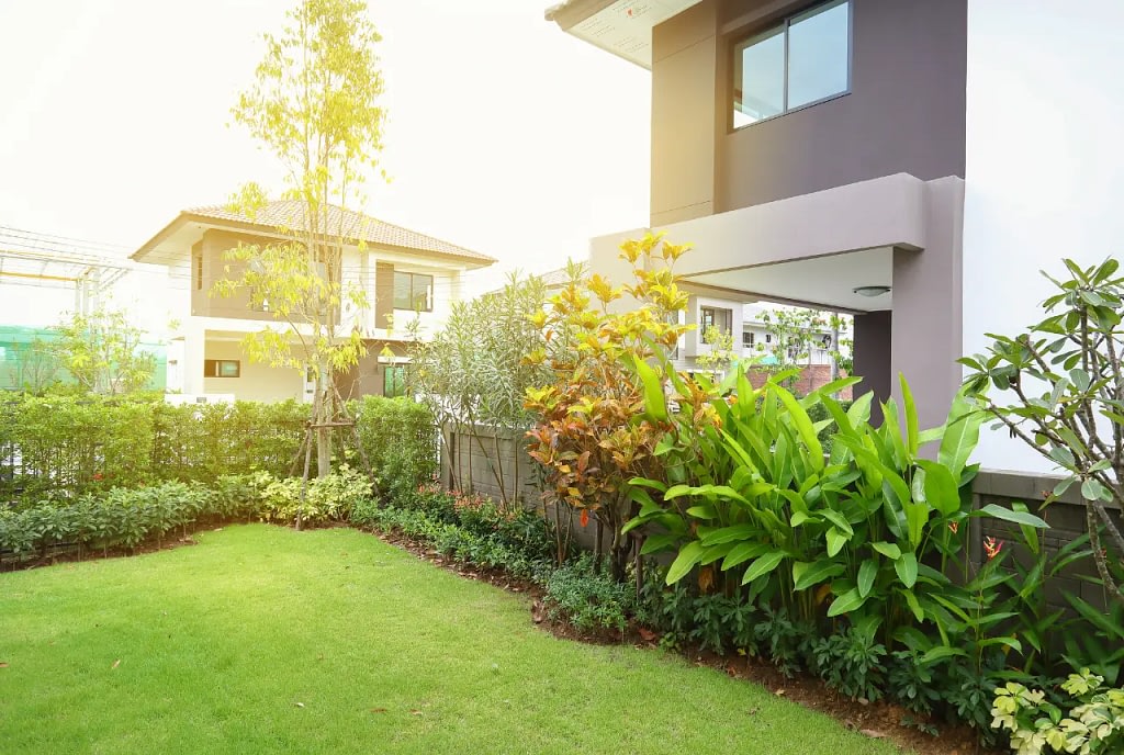 Greenery with Low-Maintenance Landscaping