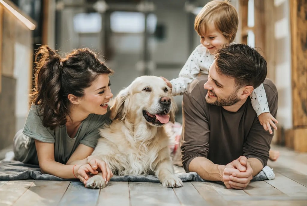 How to Make a Pet Friendly Home to Make Your Pets Happy