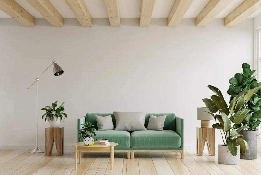 Styling Your Living Room with Indoor Plants