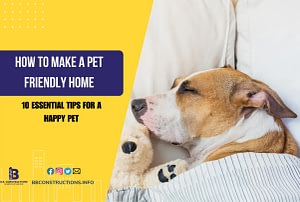 how to make a pet friendly home