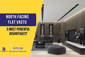 north facing flat vastu