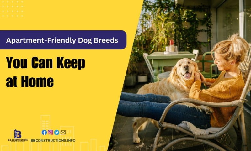 friendly dog breeds in India