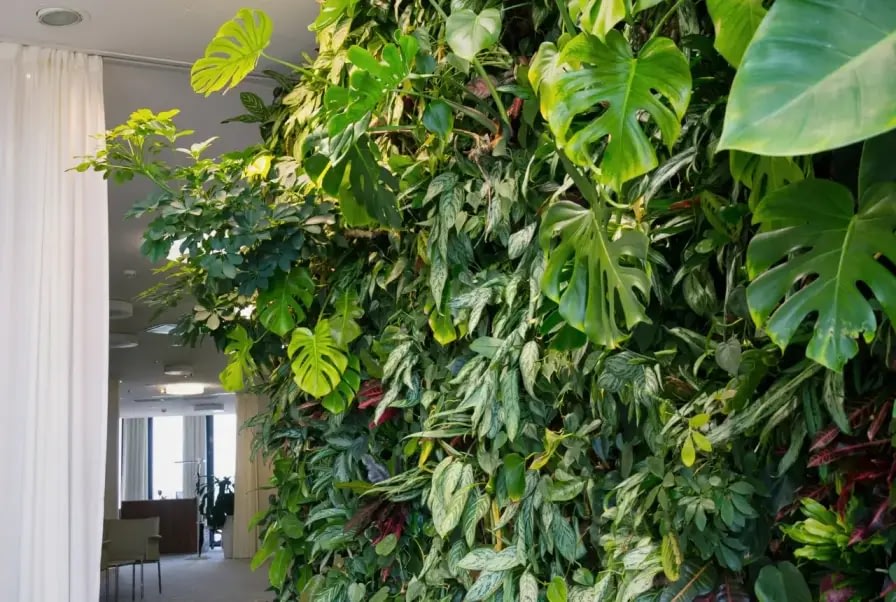 Create a Lush Green Wall with Vertical Garden Systems