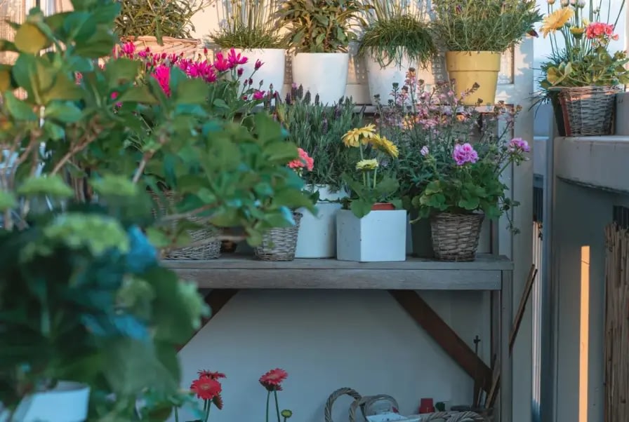 Maximize Vertical Space with Tiered Planters and Hanging Baskets