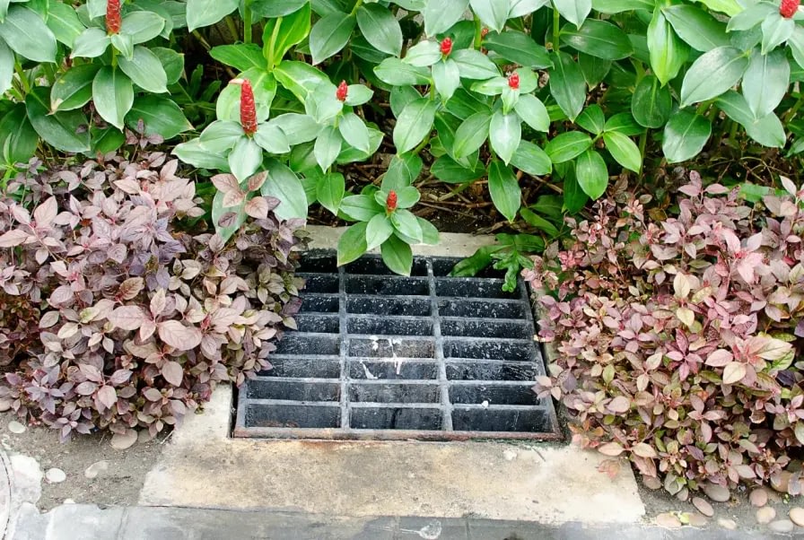 garden drainage system